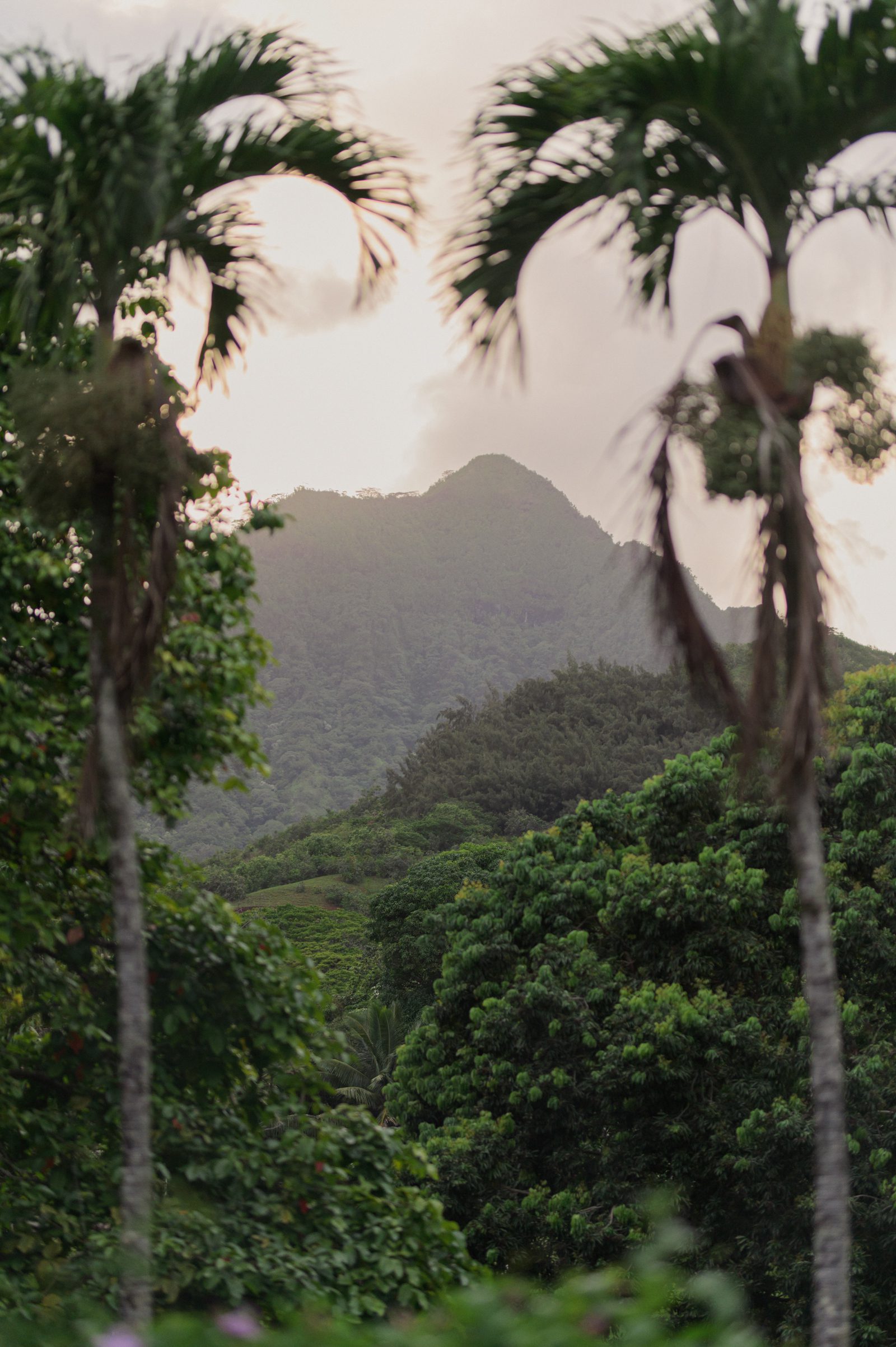 Boston to Honolulu destination wedding photographers seamless photography