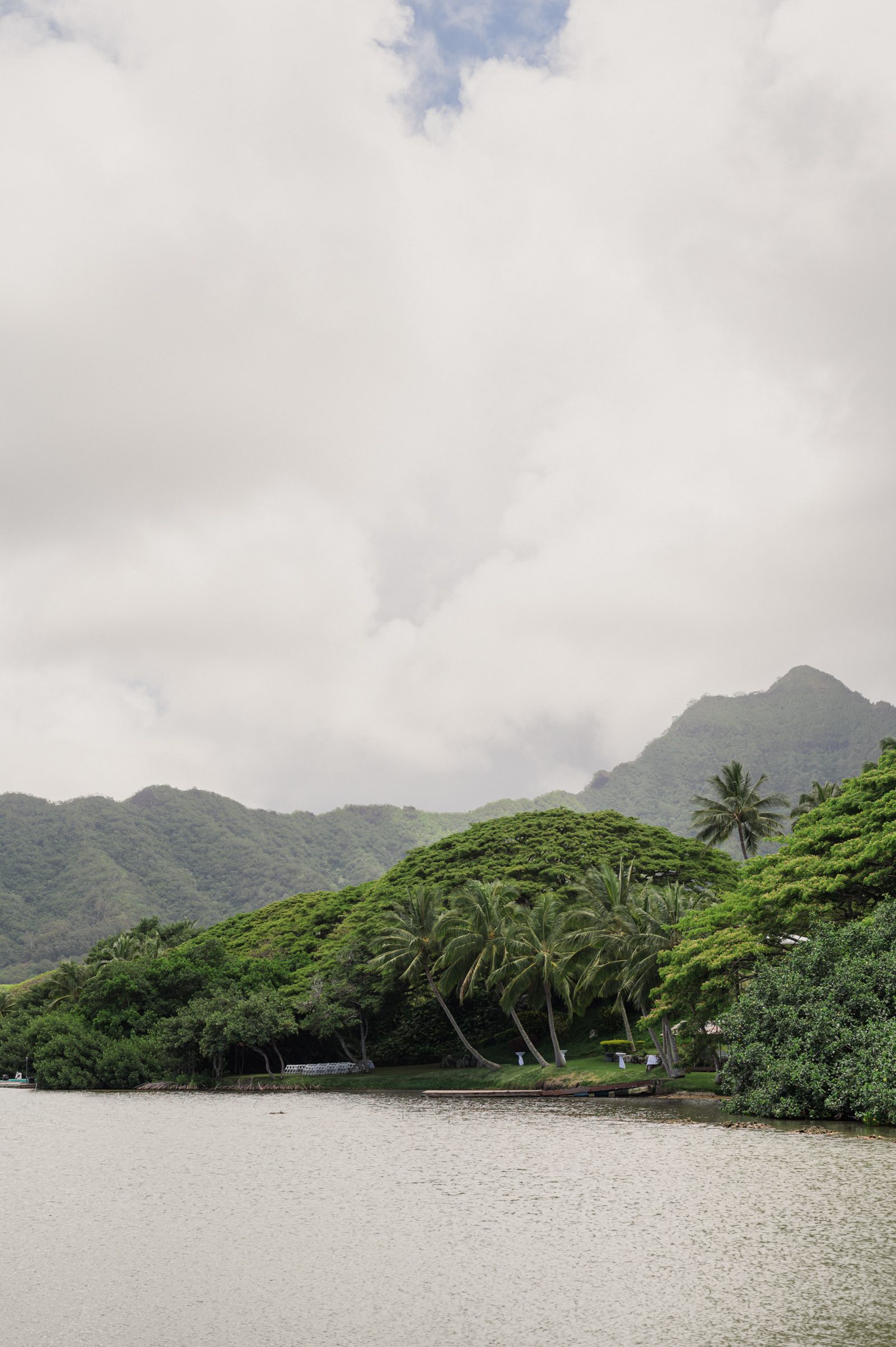 lgbtq destination wedding in Honolulu hawaii